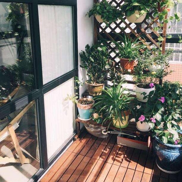 這些東西竟然不能放陽臺！你一定沒想到吧！