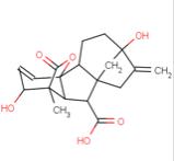 如何看懂農(nóng)村自建別墅裝修裝飾施工圖紙