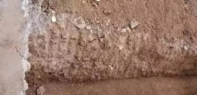 小成本就能蓋大別墅，你還在猶豫什么呢?